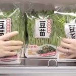 月間売上が過去最高１０億円超<br>巣ごもり需要で豆苗伸びる