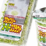 「 ブロッコリースーパースプラウト」品種改良<br>有用成分の含有量１ . ７ 倍に向上