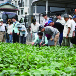 地域別農業プラン、農畜産物のブランド化、生産者の連携に注力<br> 「『総合事業』の更なる展開～地域の暮らしに確かさと彩りを」新中計スタート