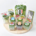 スプラウト（発芽野菜）全国一<br>生産センター整備を積極化<br>世界一の施設野菜メーカーへ