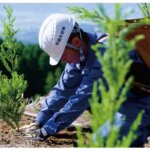 製材メーカーで国内トップ「伐採して・使って・植えて・育てる」木材産業の循環型経済目指す